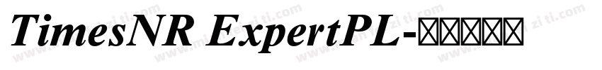 TimesNR ExpertPL字体转换